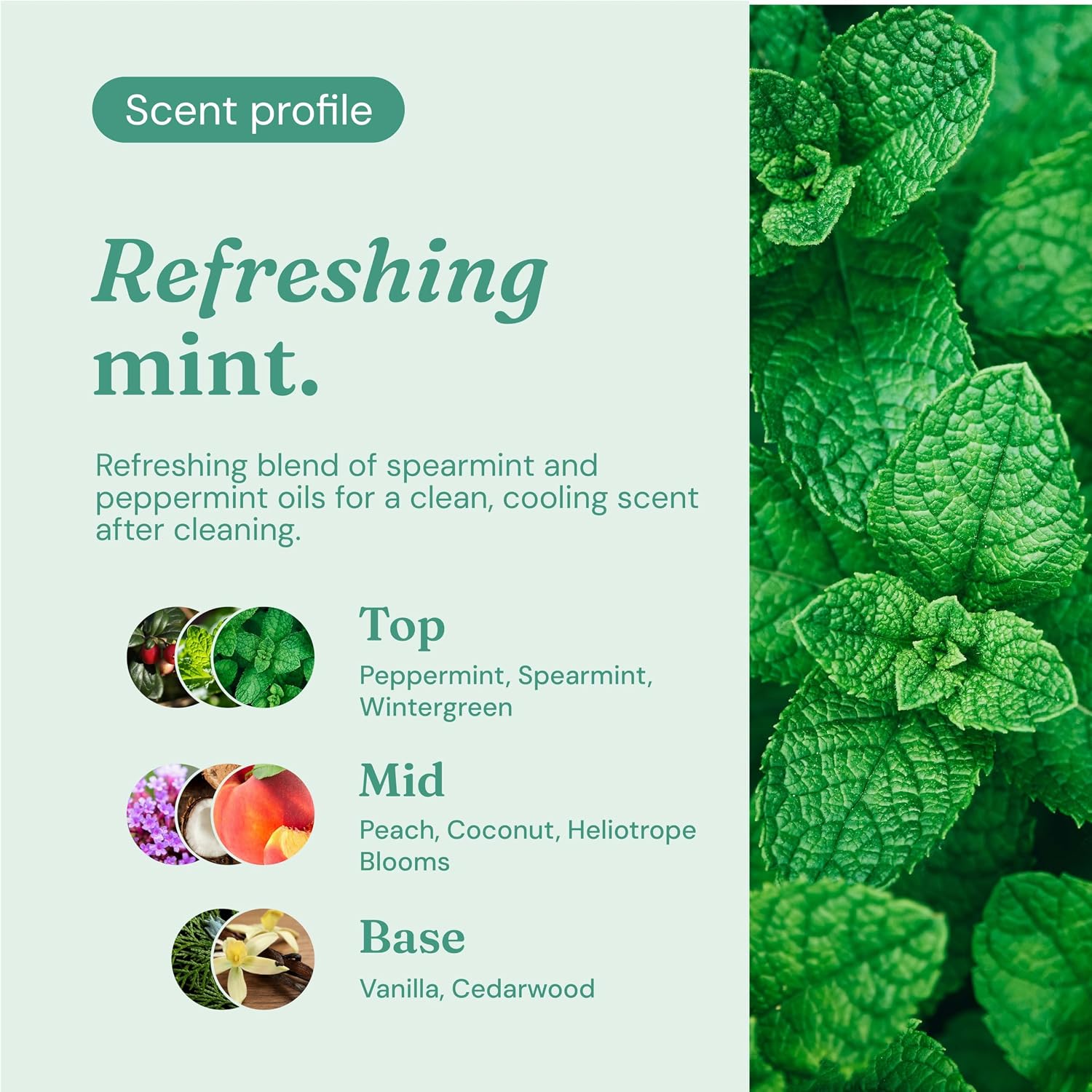 Miniml Eco Toilet Cleaner Spearmint & Peppermint 5L Refill - All Natural Limescale Remover, Descaler and Heavy Duty Refill Rim & Bowl Cleaning Liquid Antibacterial Bleach - 100% Vegan & Cruelty Free